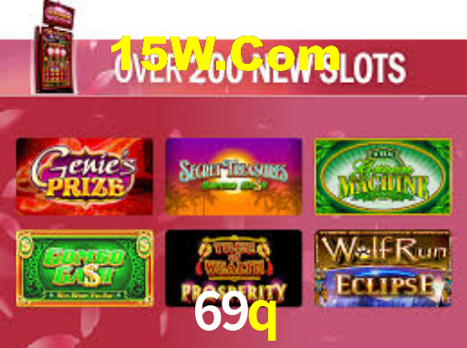 69q.com